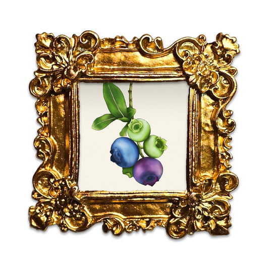 Petite The life of a blueberry Fine Art Print Frame