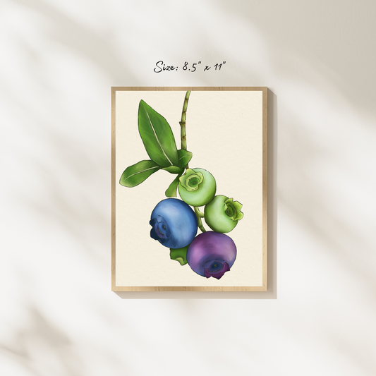 The life of a blueberry Art Print