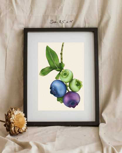 The life of a blueberry Art Print