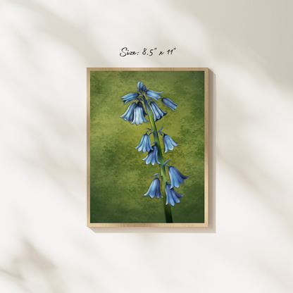 Bluebell Art Print
