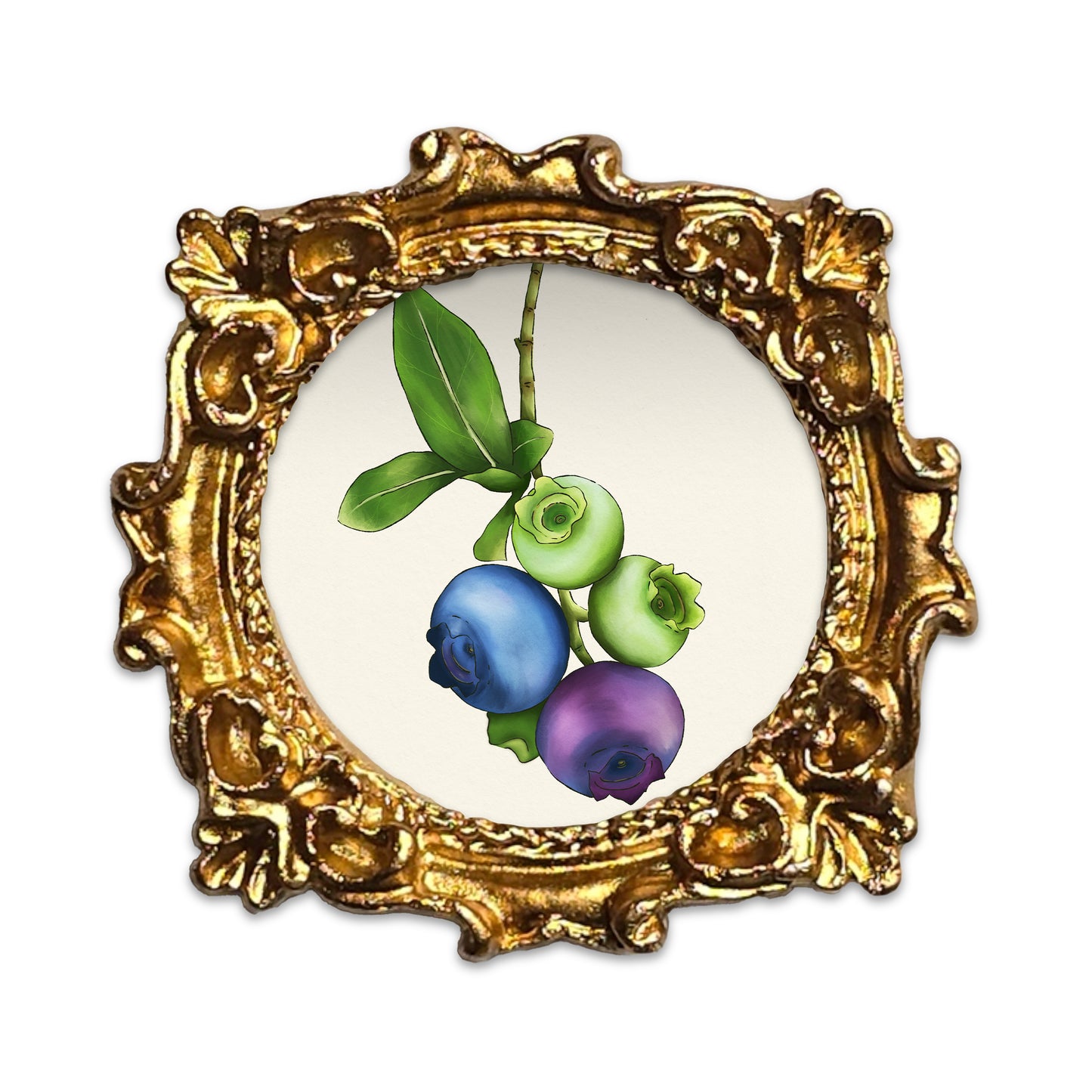 Petite The life of a blueberry Fine Art Print Frame