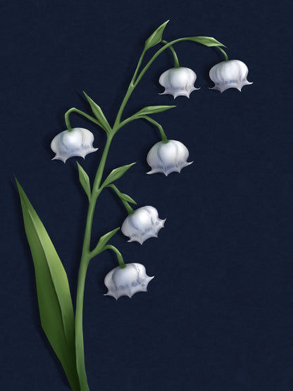 Lily of the Valley Art Print