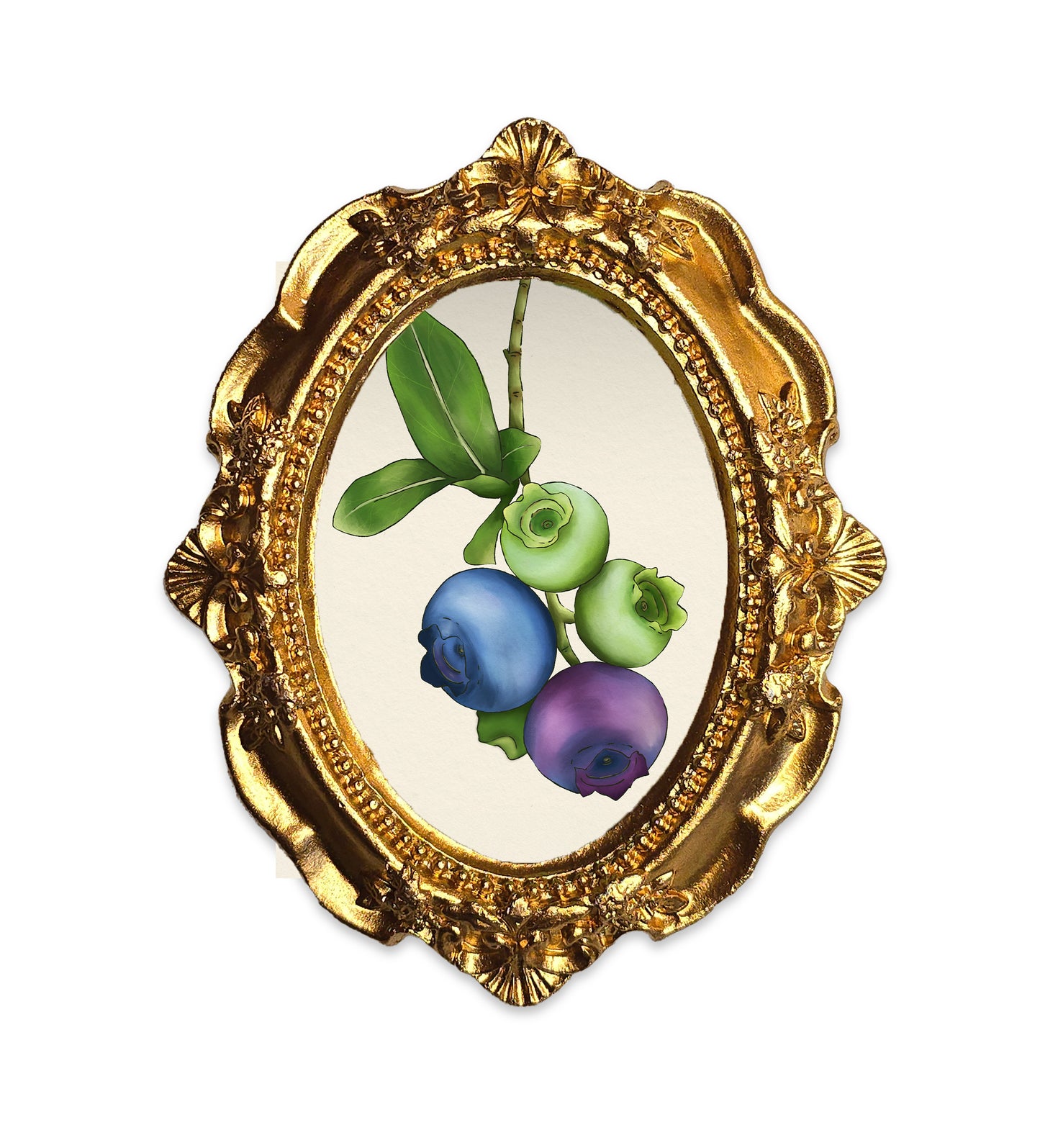 Palm Size The life of a blueberry Art Print (Wall Ready)