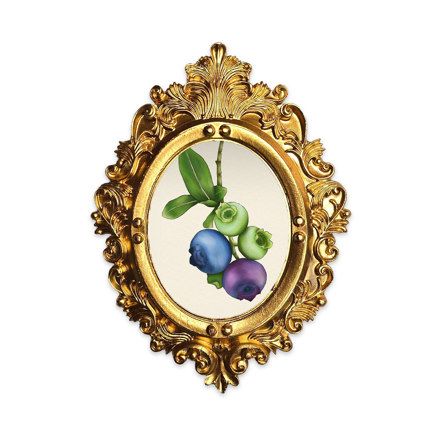 Palm Size The life of a blueberry Art Print (Wall Ready)