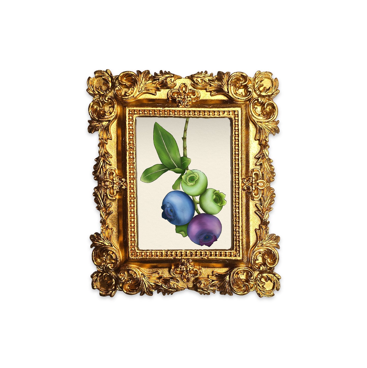 Palm Size The life of a blueberry Art Print (Wall Ready)