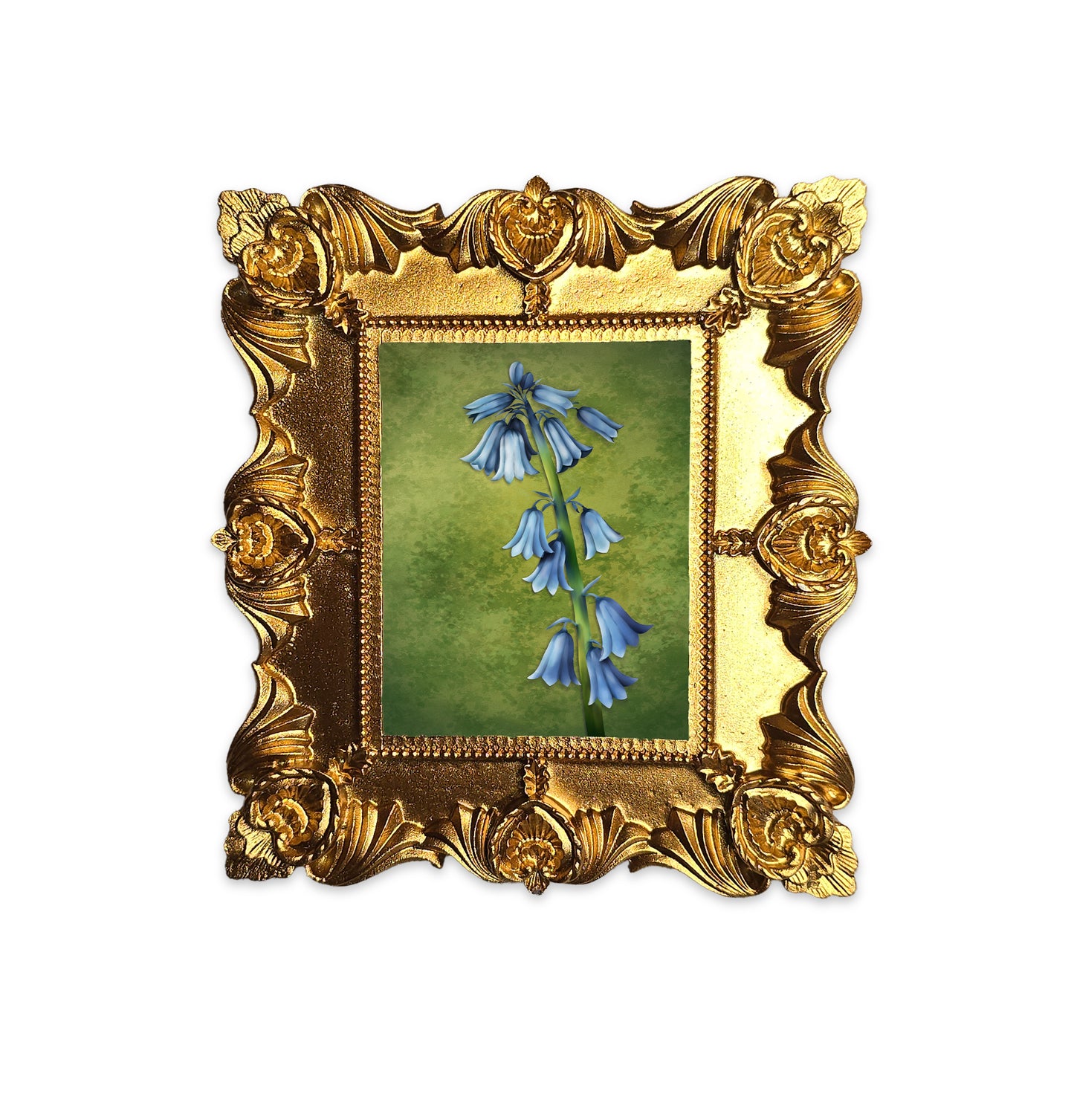 Palm Size Bluebell Art Print (Wall Ready)
