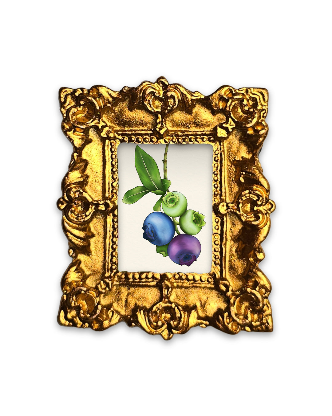 Petite The life of a blueberry Fine Art Print Frame