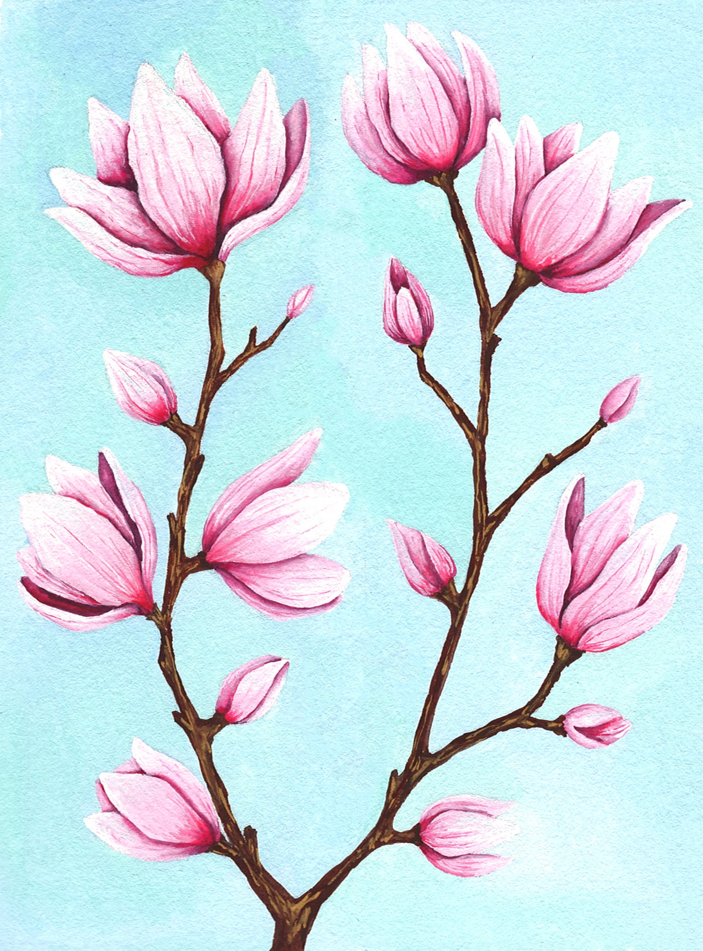 Spring Blooms Art Print