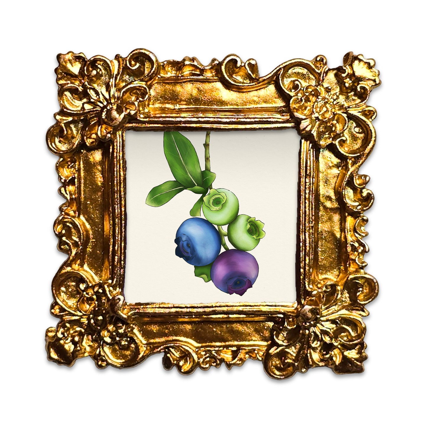 Petite The life of a blueberry Fine Art Print Frame