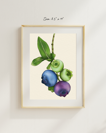 The life of a blueberry Art Print