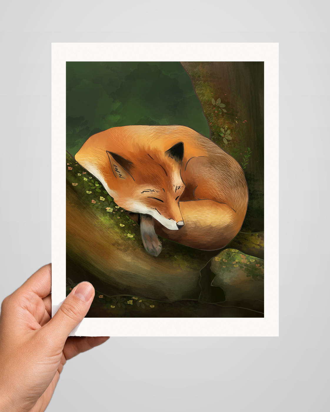 Sleeping Fox Art Print